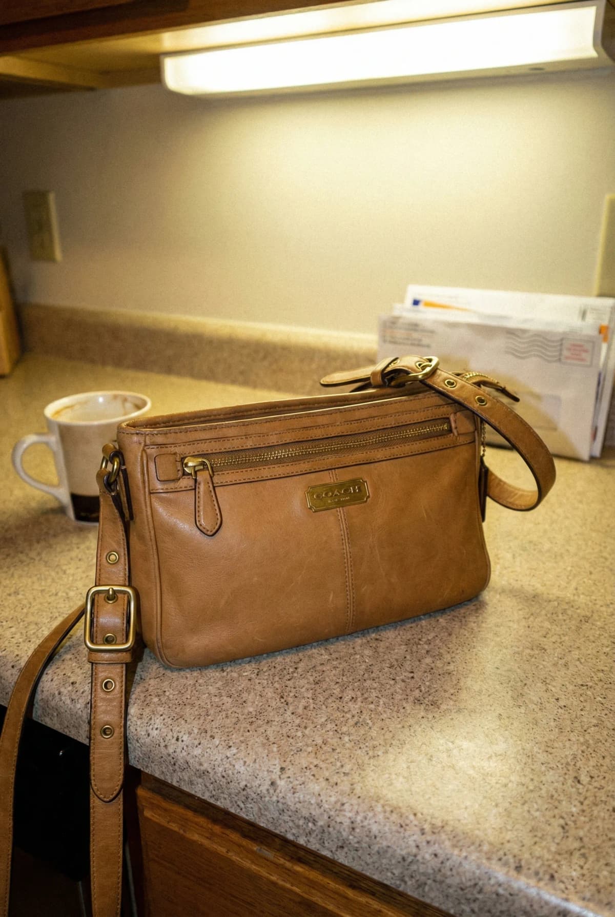 Bag Scene — original